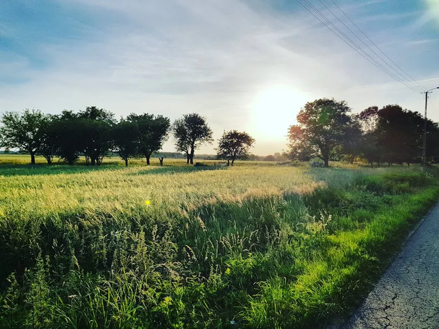 Peaceful rural landscape during sunset in Radom, Poland with lush green fields.